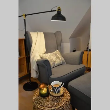 Apartment Ines Two Levels 105m2 In The Old Town Wi-fi, Olsztyn (Warmian-Masurian)