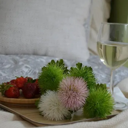 Ines Two Levels 105m2 In The Old Town Wi-fi, Apartmán Olštýn