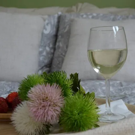 Ines Two Levels 105m2 In The Old Town Wi-fi, * Olštýn