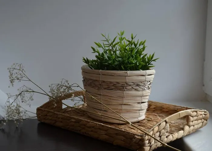 Апартаменты Ines Two Levels 105m2 In The Old Town Wi-fi,